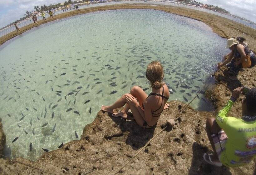 Отель Pousada Quatro Estações