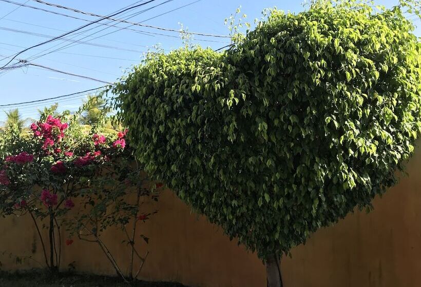 Отель Pousada Quatro Estações