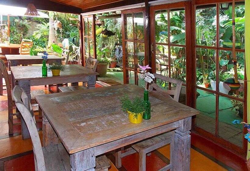 Отель Pousada Riacho Dos Cambucas