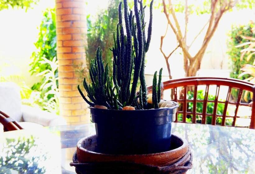 ホテル Pousada Solar Ponta Negra