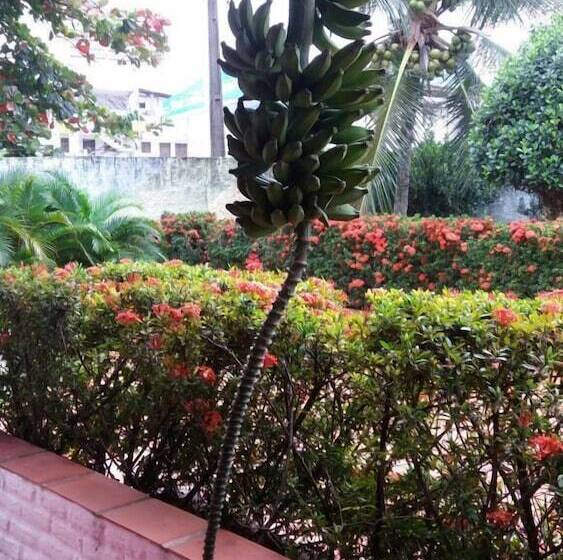 Отель Pousada Toca Do Tato