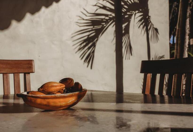 Отель Pousada Villa Bella