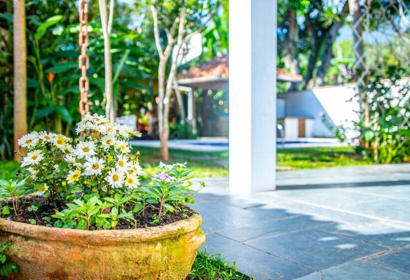 בית מלון כפרי Pouso Do Grego