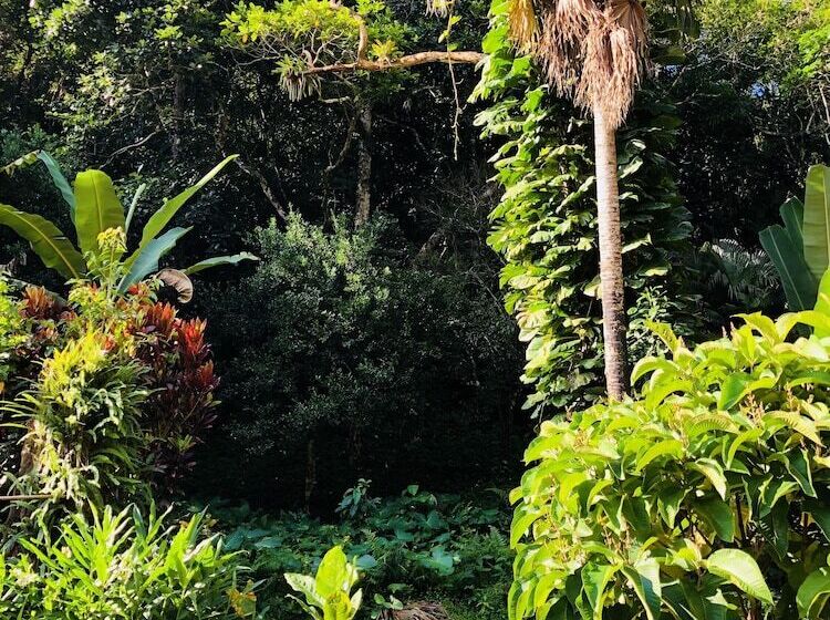 Отель Praia Da Crena