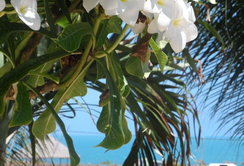 هتل Residencia Oceanos