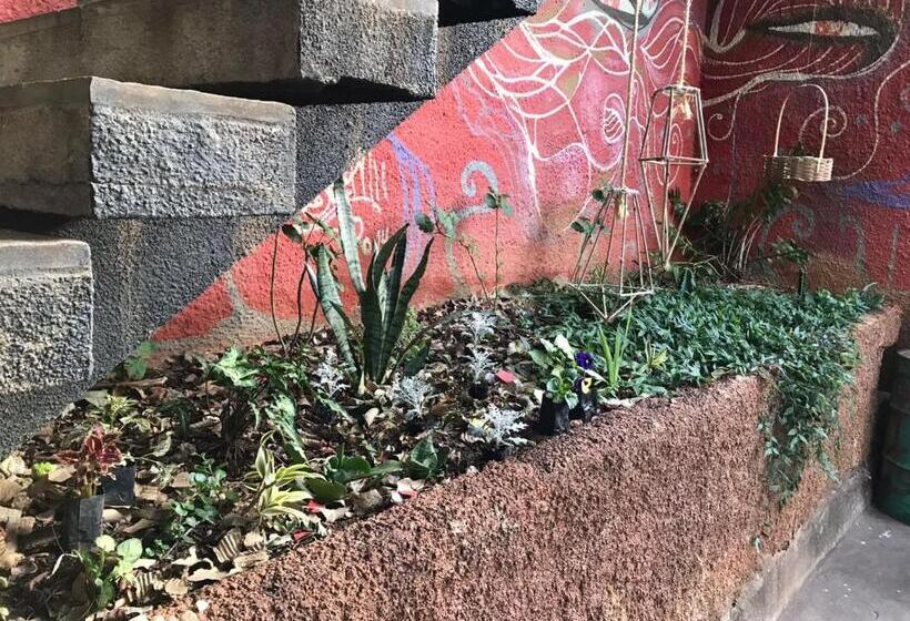 酒店 Rock! And Hostel Bh