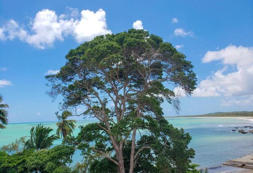 ホテル Vila De Taipa Exclusive