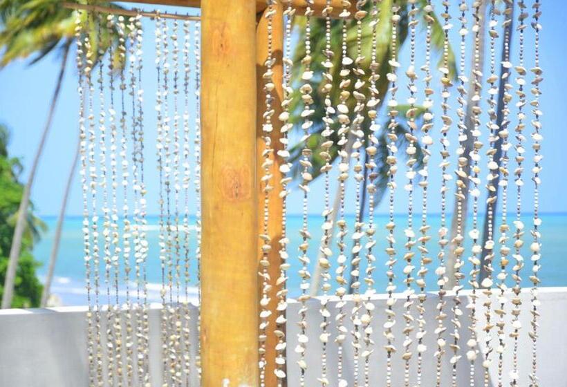 ホテル Vila De Taipa Exclusive