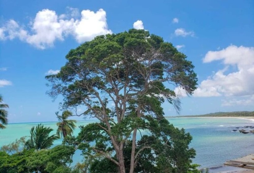 ホテル Vila De Taipa Exclusive