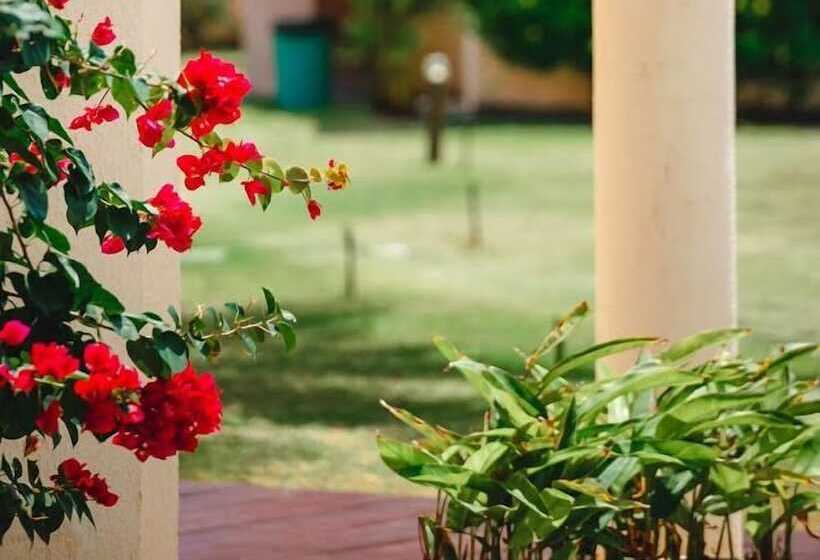 Пансион Condomínio Paraíso De Maracajaú Iv