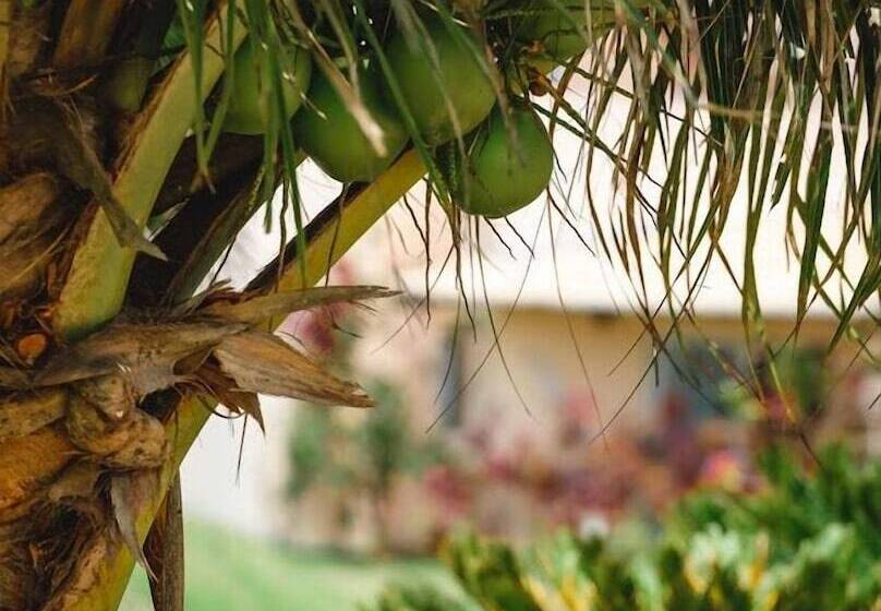 Пансион Condomínio Paraíso De Maracajaú Iv