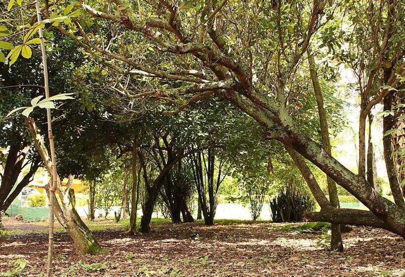 ユースホステル Guappo Socorro