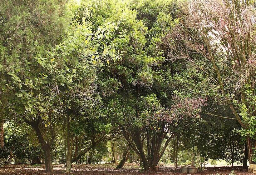 ユースホステル Guappo Socorro