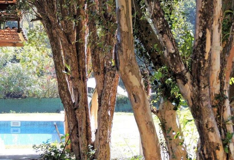 ユースホステル Guappo Socorro