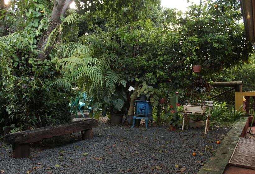 ユースホステル Guappo Socorro