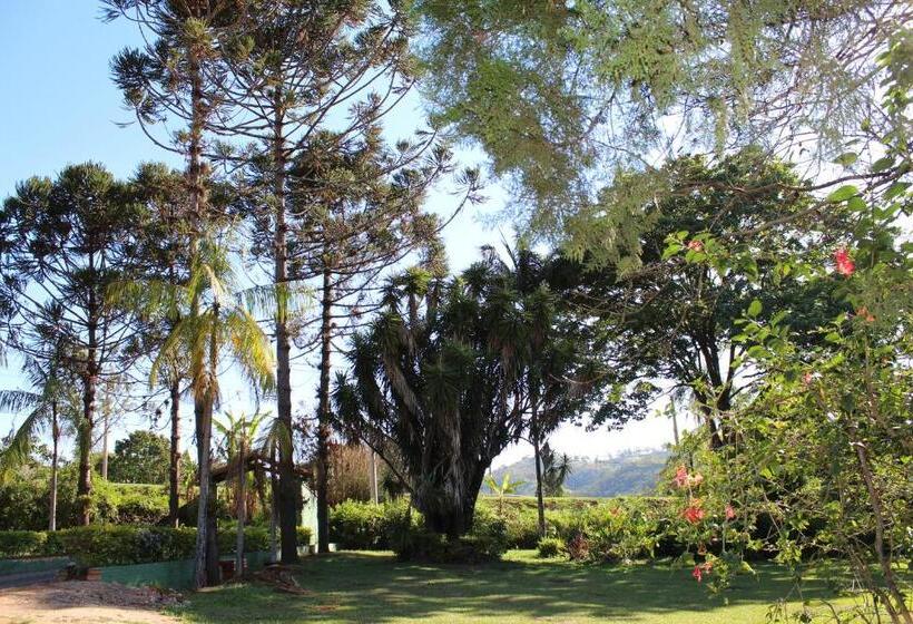 ユースホステル Guappo Socorro