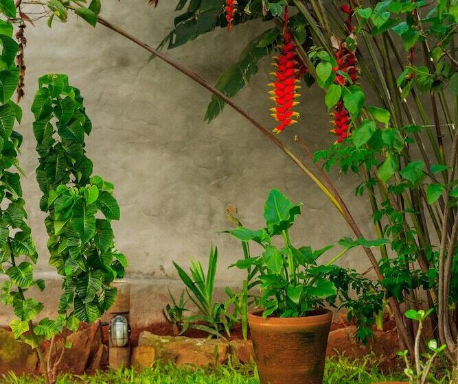 호스텔 Pousada Jardim Da Nova Era