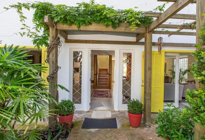 تختخواب و صبحانه Girassóis Da Lagoa  Guesthouse