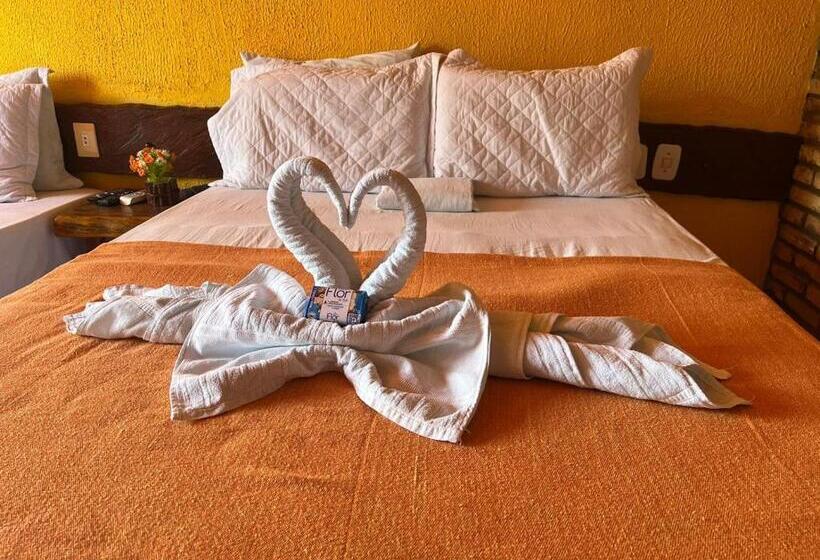 Bed and Breakfast Pousada Don Robledo