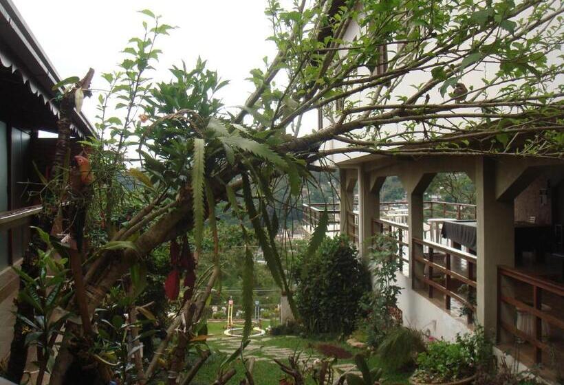 酒店 Dominguez Master