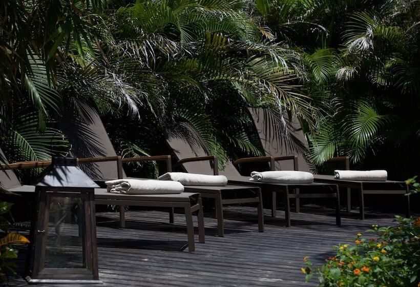 בית מלון כפרי Lara