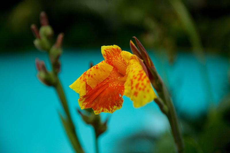 בית מלון כפרי Lara