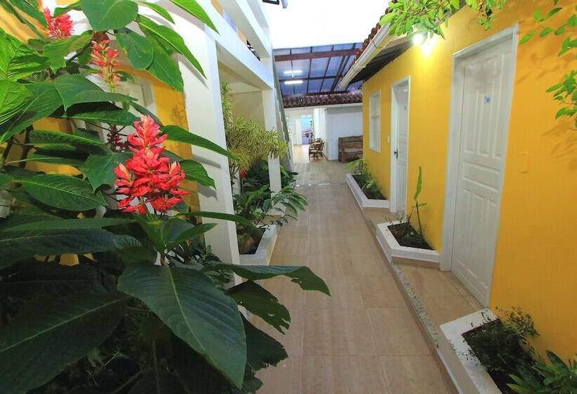 Отель Navegantes