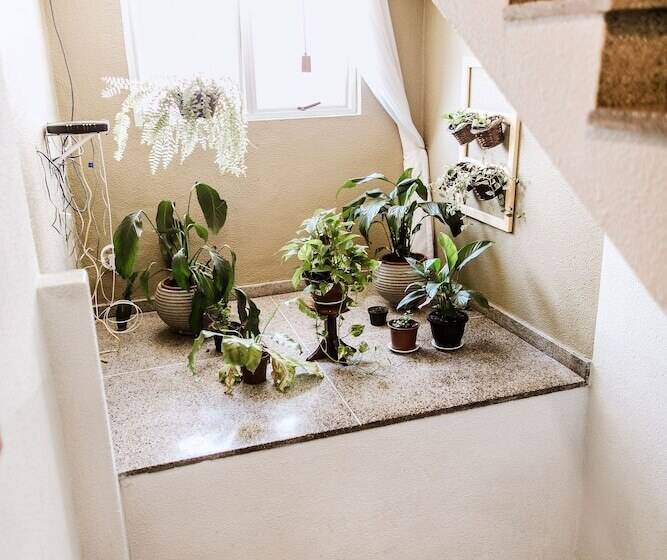 בית מלון כפרי Oásis