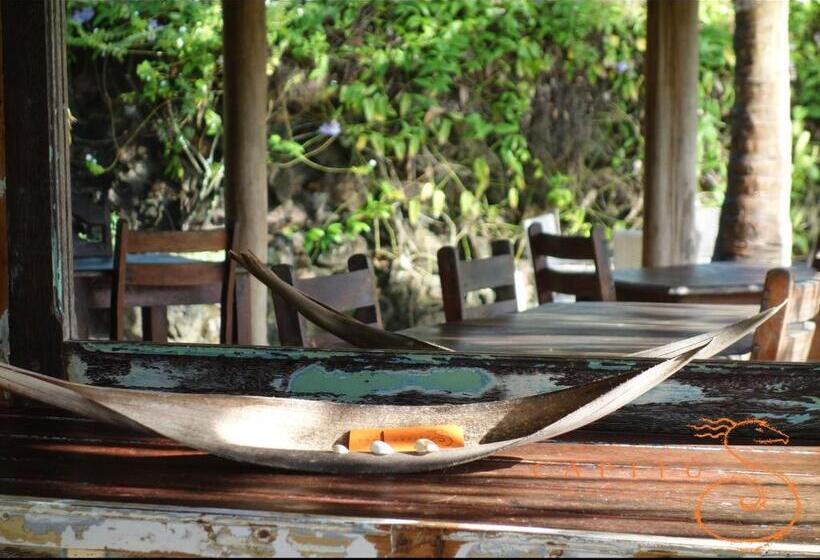 בית מלון כפרי Pousada Capitù