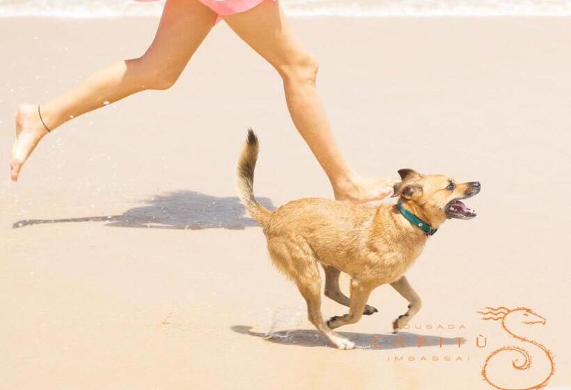 בית מלון כפרי Pousada Capitù