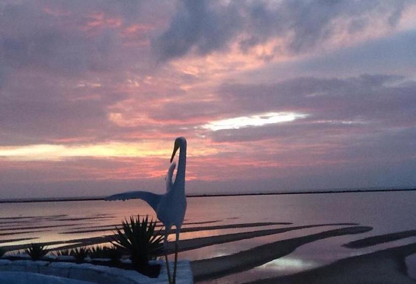 Отель Pousada Mangrovia