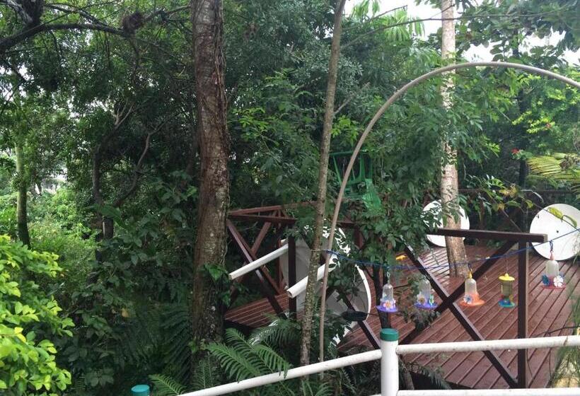 هتل Pousada Reimar