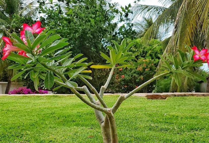 酒店 & Pousada Tatajuba