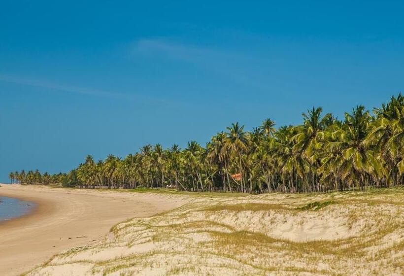 בית מלון כפרי Vida Do Mar