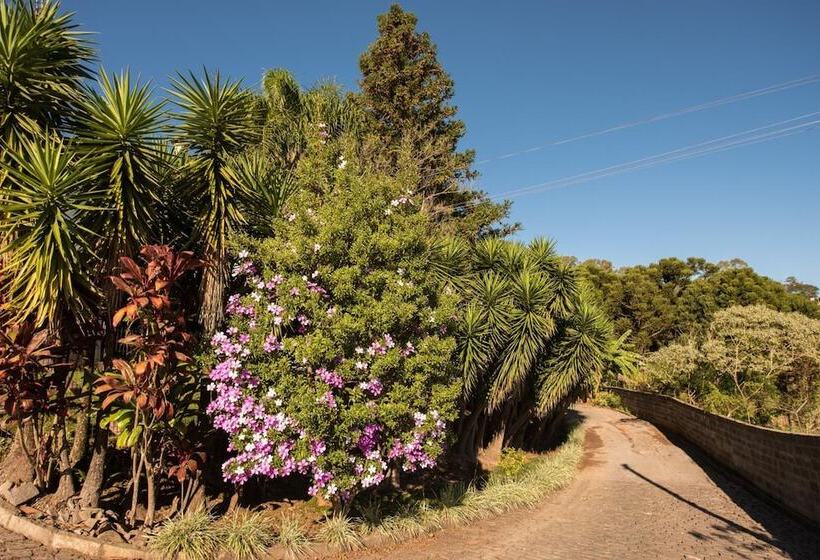 호텔 Villa Deifiori