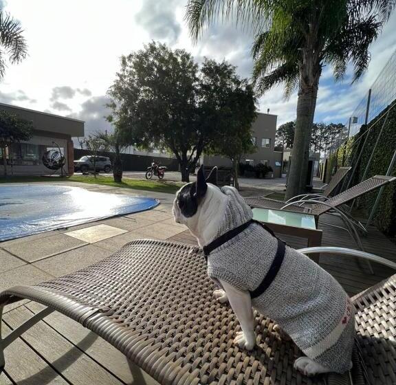 Отель Viageiro Casa