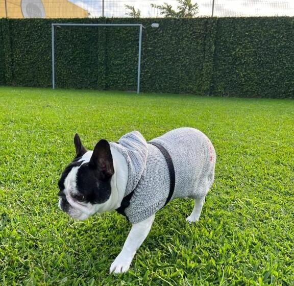 Отель Viageiro Casa