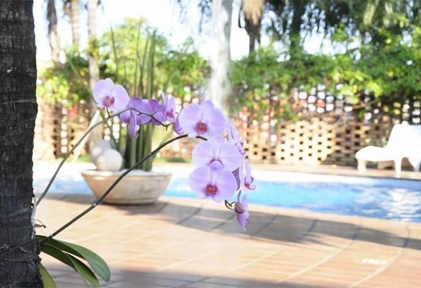 בית מלון כפרי Vila Romana Park