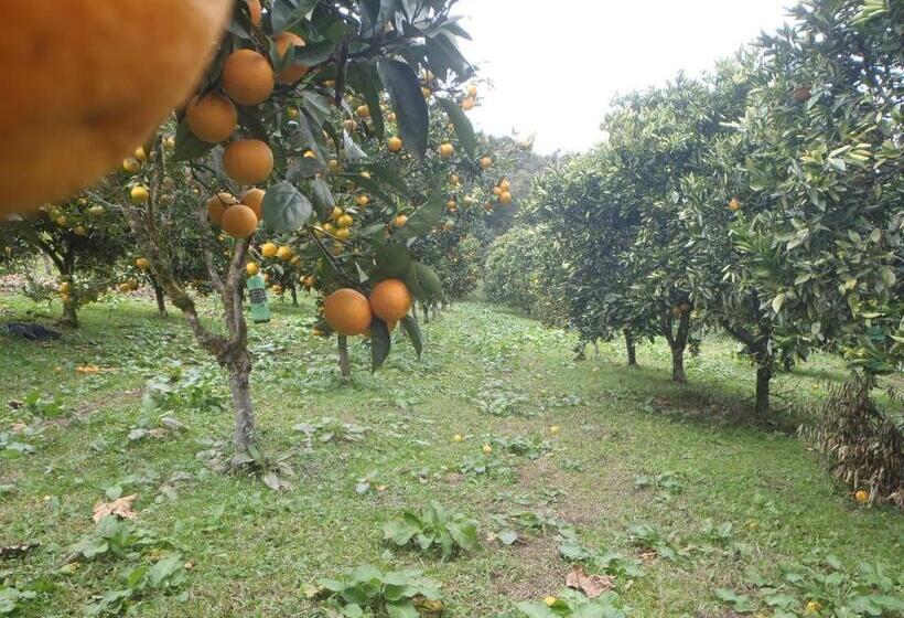 Отель Villa Michelon