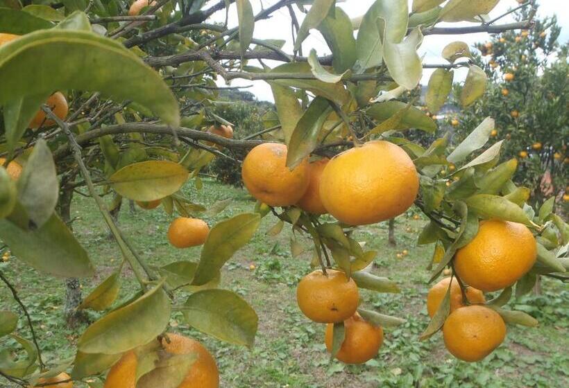 Отель Villa Michelon