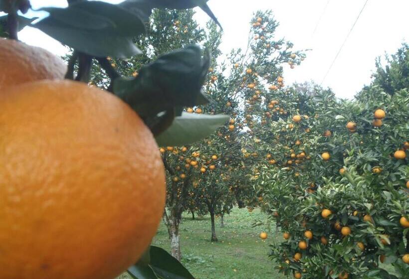 Отель Villa Michelon