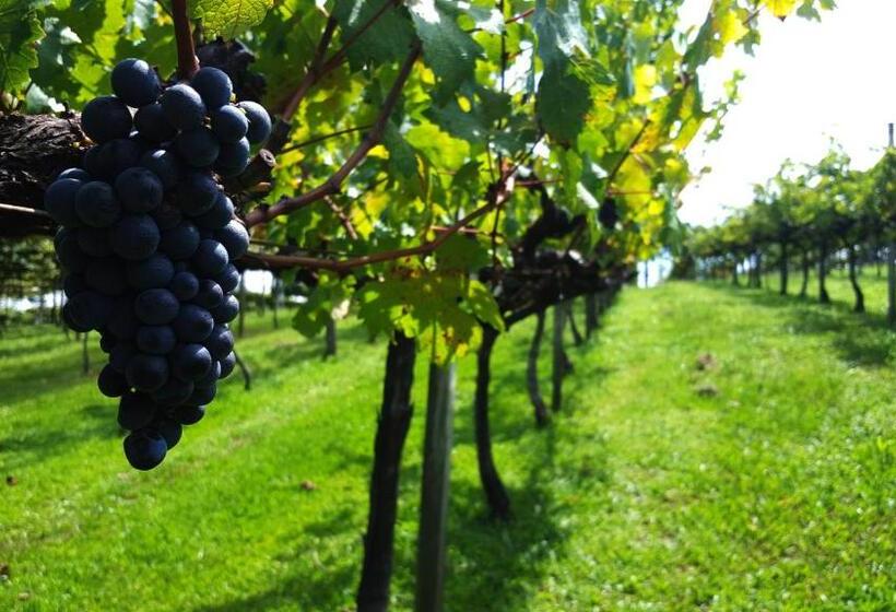 Отель Villa Michelon