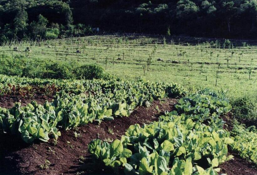 Отель Villa Michelon