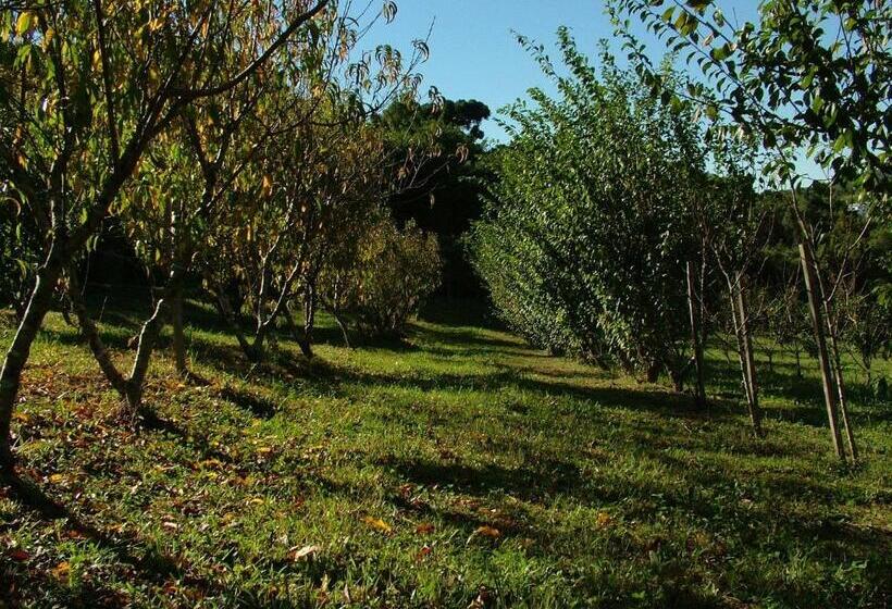 Отель Villa Michelon