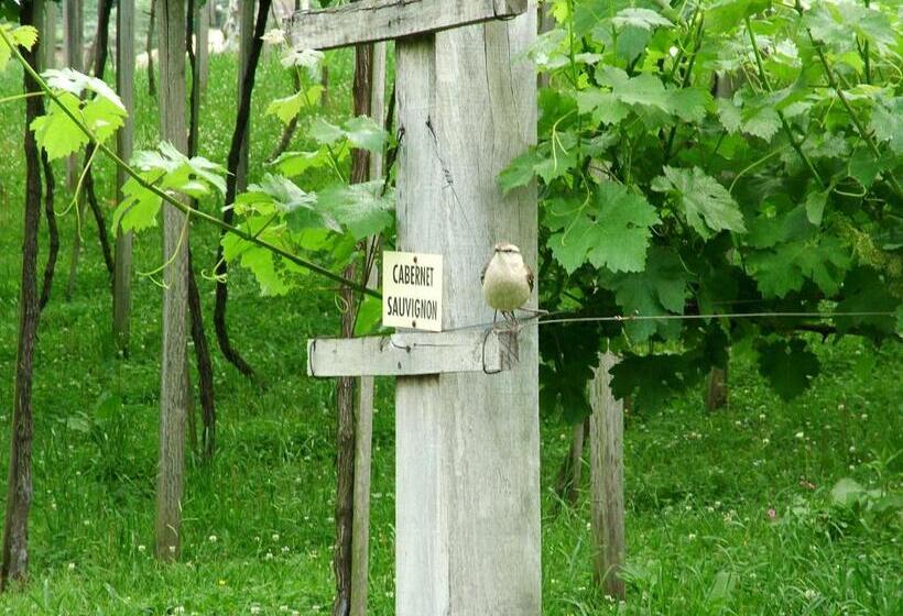 Отель Villa Michelon