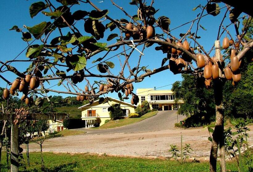 Отель Villa Michelon