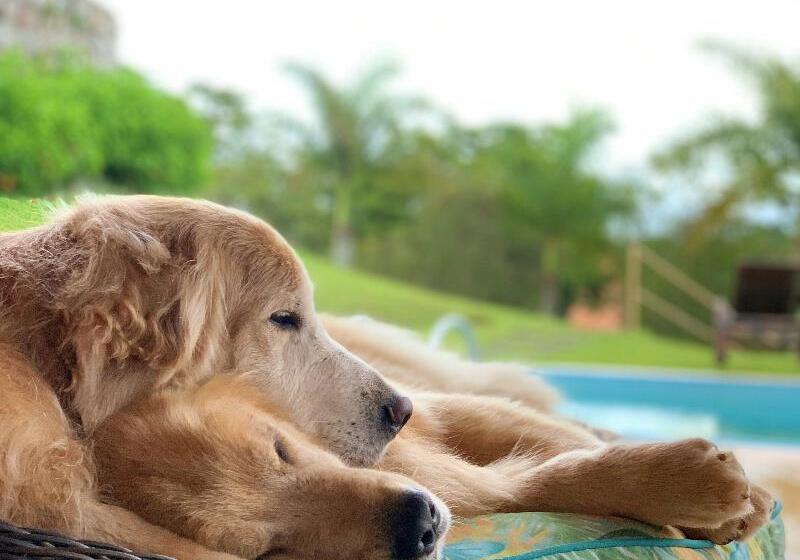 ホテル Villa Rossa