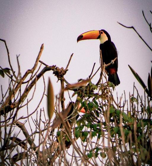 Parque Hotel Holambra