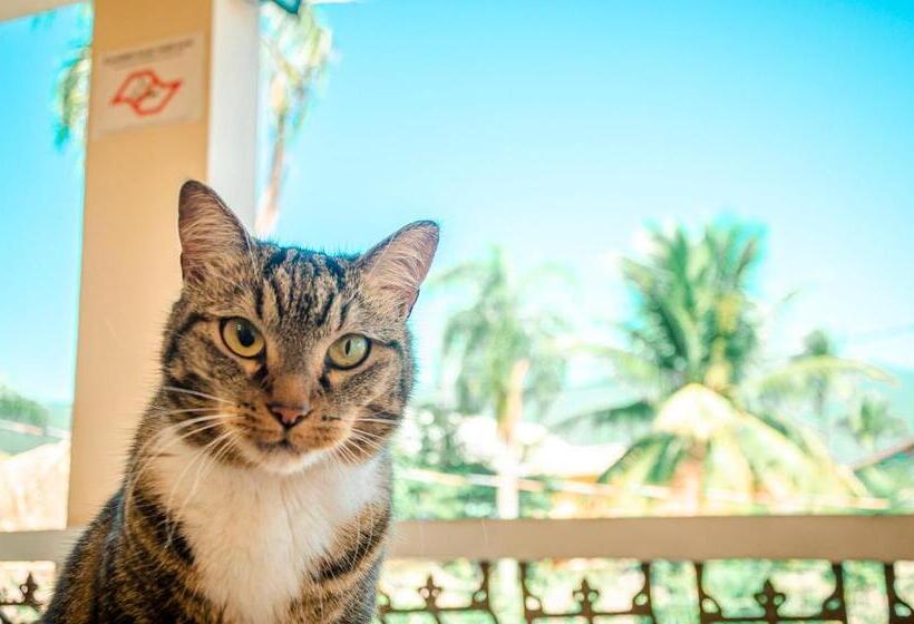 Verde Hostel Ilhabela