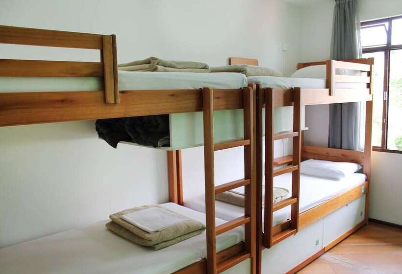 旅馆 Jardim Botânico House